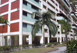 Blk 139 Potong Pasir Avenue 3 (Toa Payoh), HDB 3 Rooms #240055271